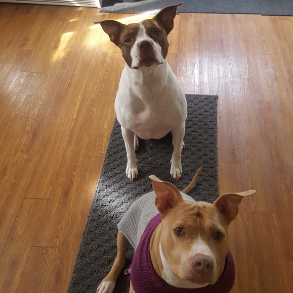 Hey there! My name is Sara. - Picture 2 of 4